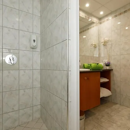 Ξενοδοχείο Palace Hévíz