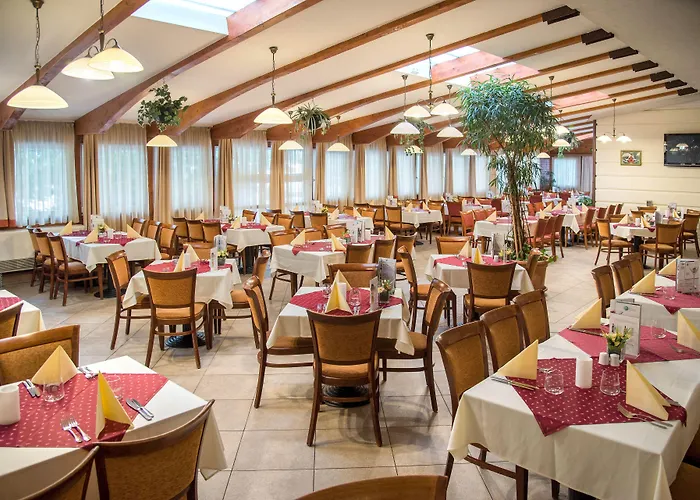 Palace 4* Хевиз